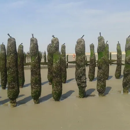 Le Grand Large 아파트 Berck