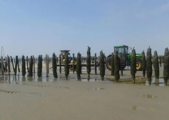 Le Grand Large Lejlighed Berck