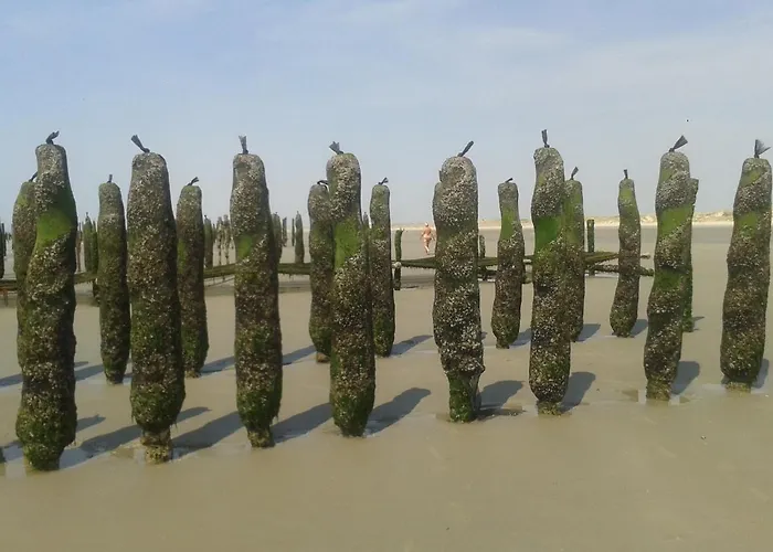 Le Grand Large Lejlighed Berck