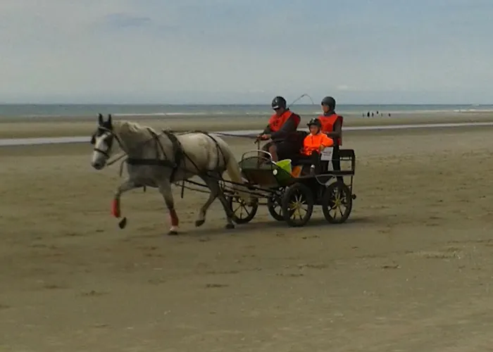 Le Grand Large Berck