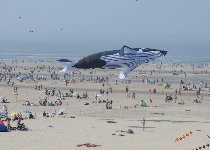 Lejlighed Le Grand Large